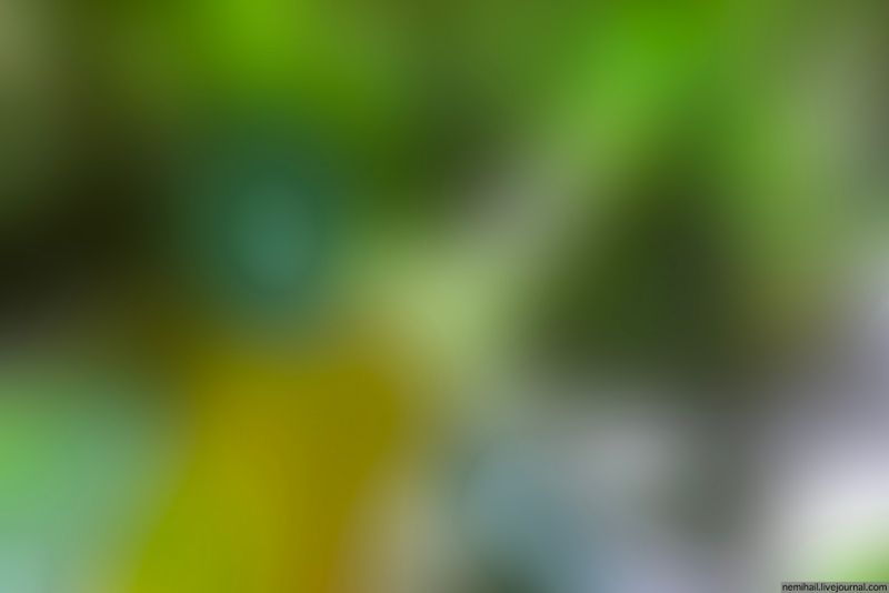 preview_image