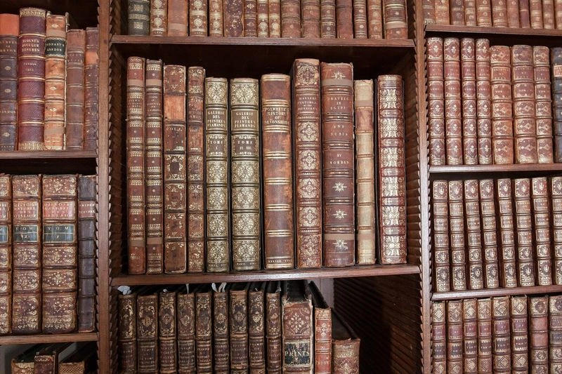 Как научиться читать больше и чаще? Улучшаем навык чтения книг