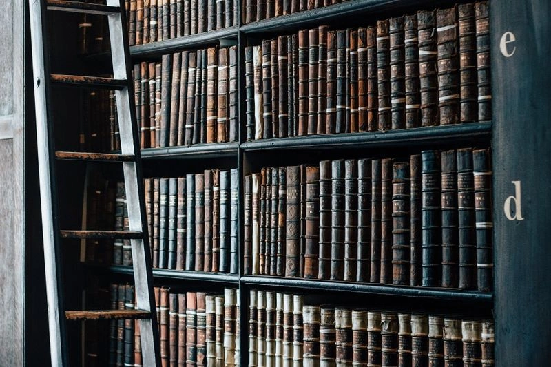Почему 80% всей информации стоит получать из книг, а не из Интернета