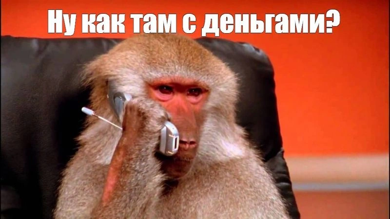 Звонок академика