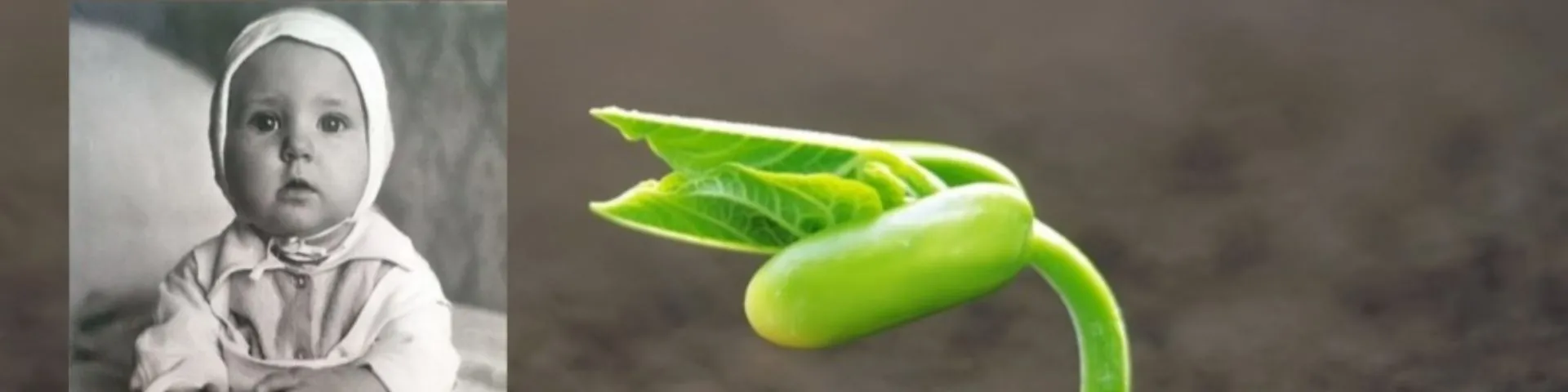 project-image