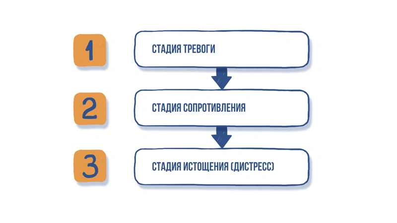 СТРЕСС - что такое хорошо, а что такое плохо?