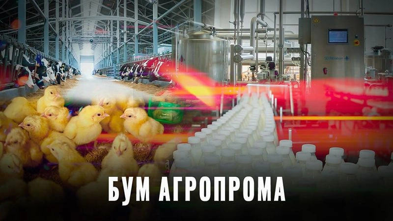Бум АПК: Молочные фермы, свиноводство, переработка