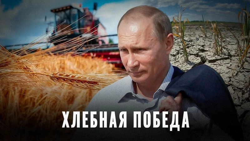 Зерно и геополитика: Россия захватывает мировой рынок зерна