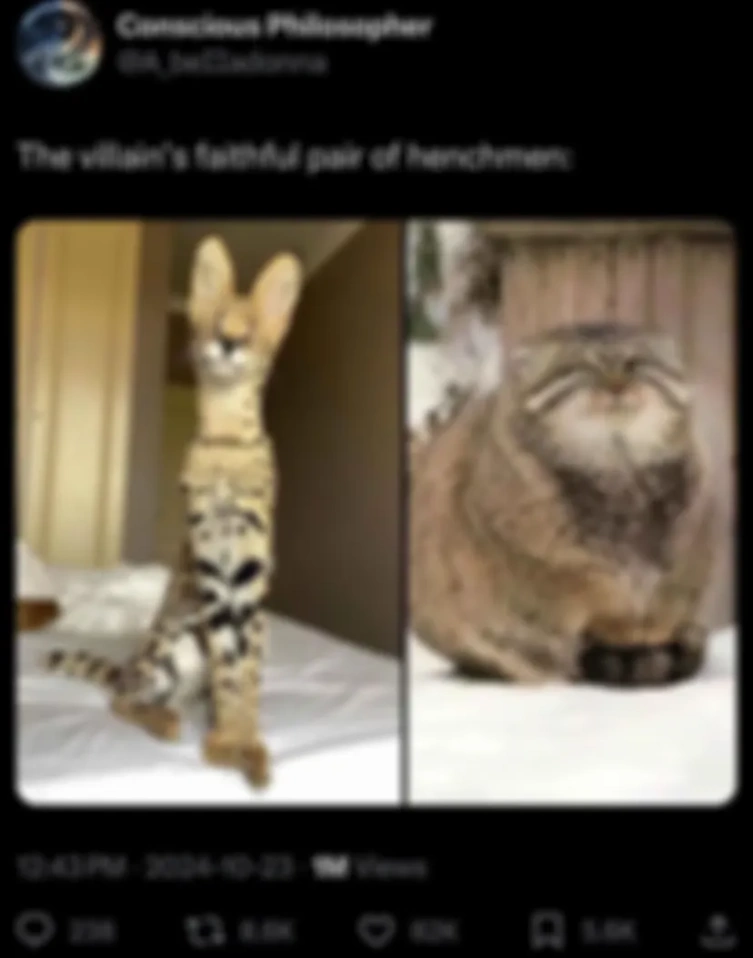 Поддельный шутник предлагает ролекс недорого