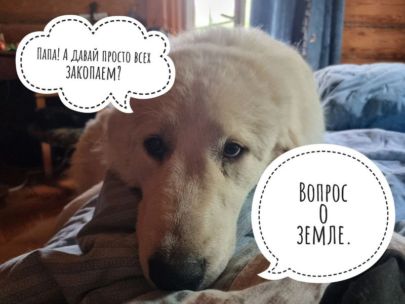 Вопрос о земле