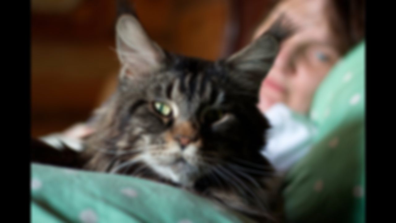 preview_image