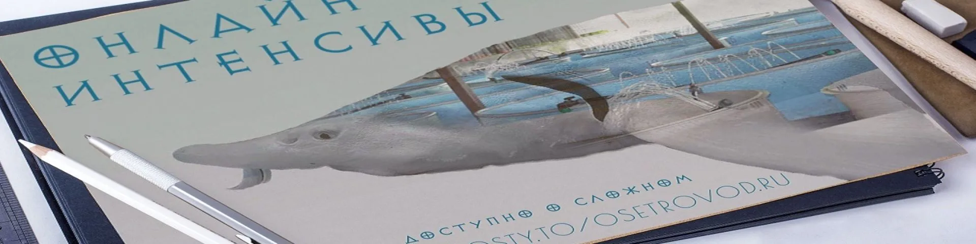 project-image