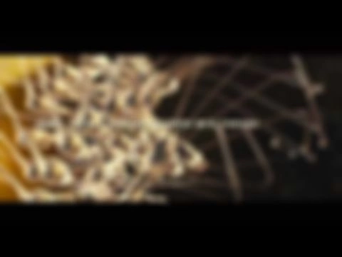 Метафора капитанского созвона