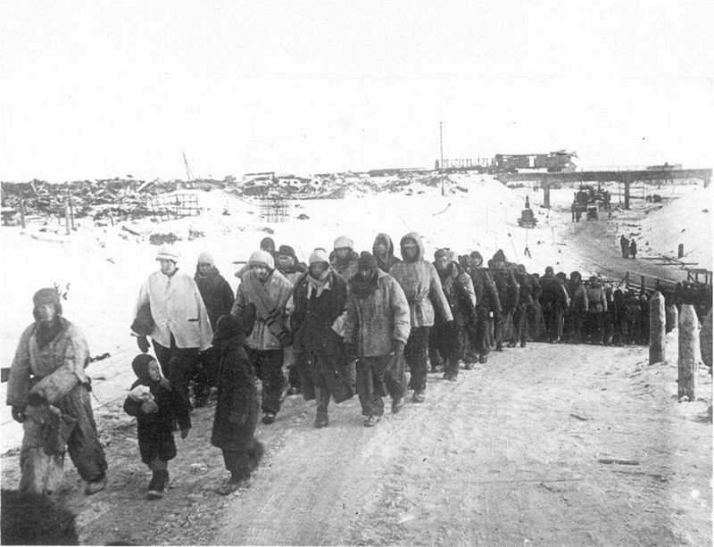 Вши, конина и Гитлер. Гибель сталинградских пленных