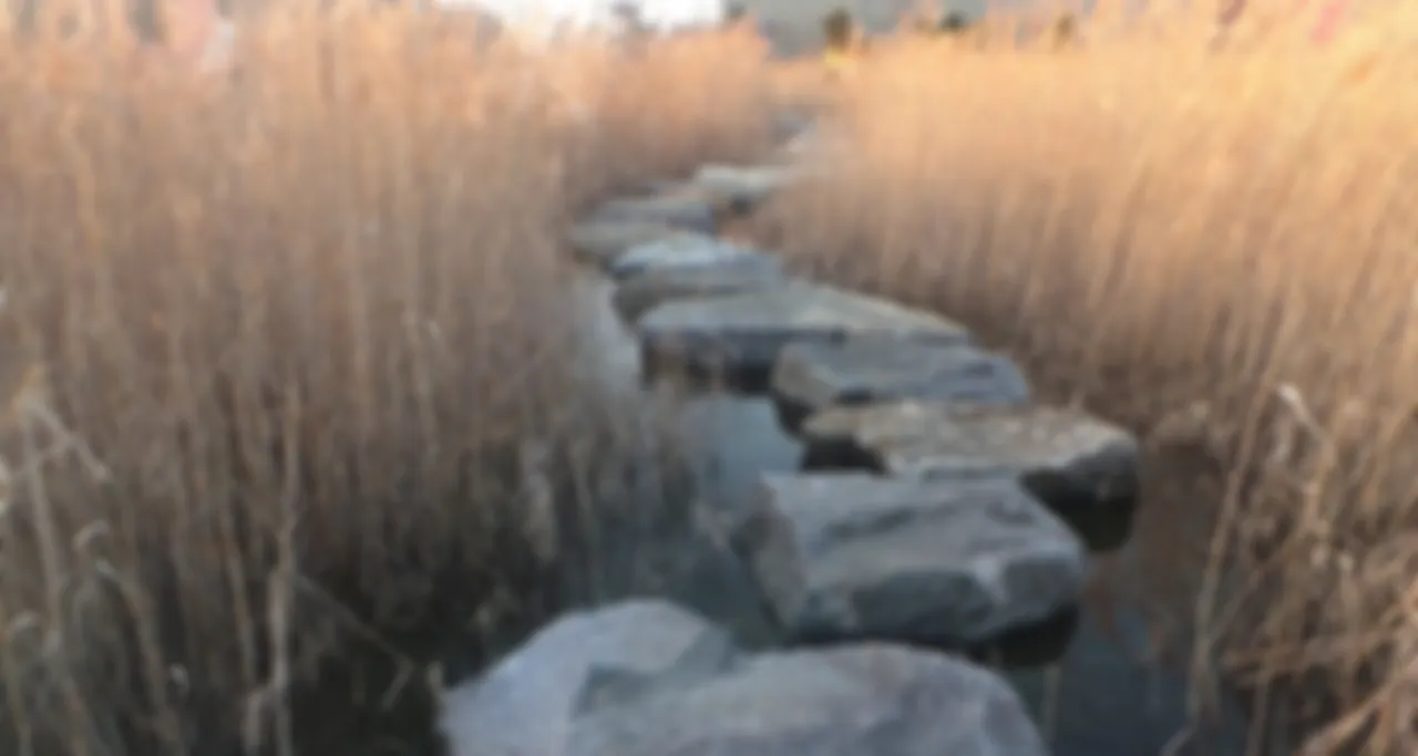 preview_image