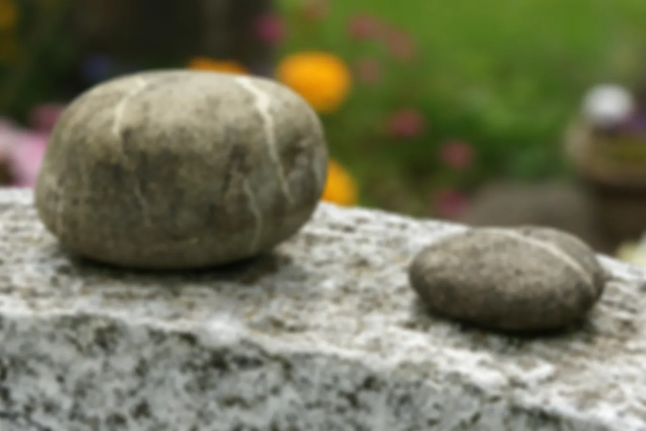 preview_image