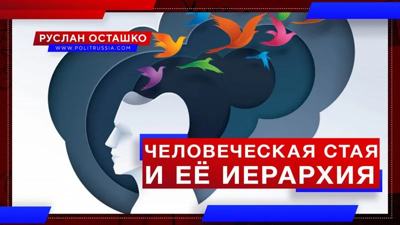 Человеческая стая и её иерархия