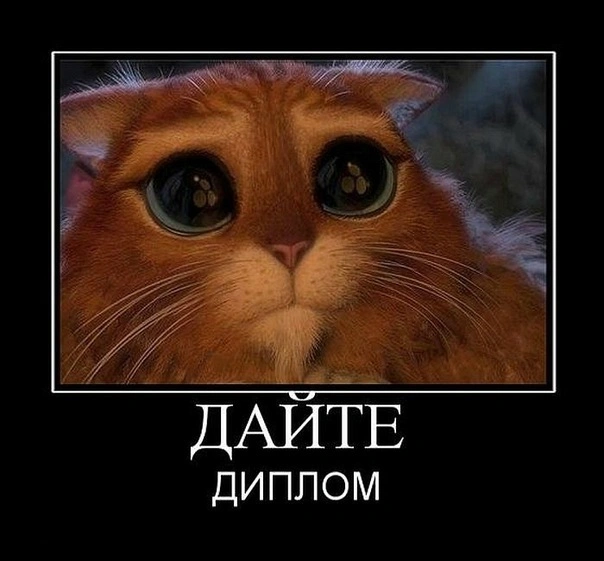 Объявление ко Дню студента