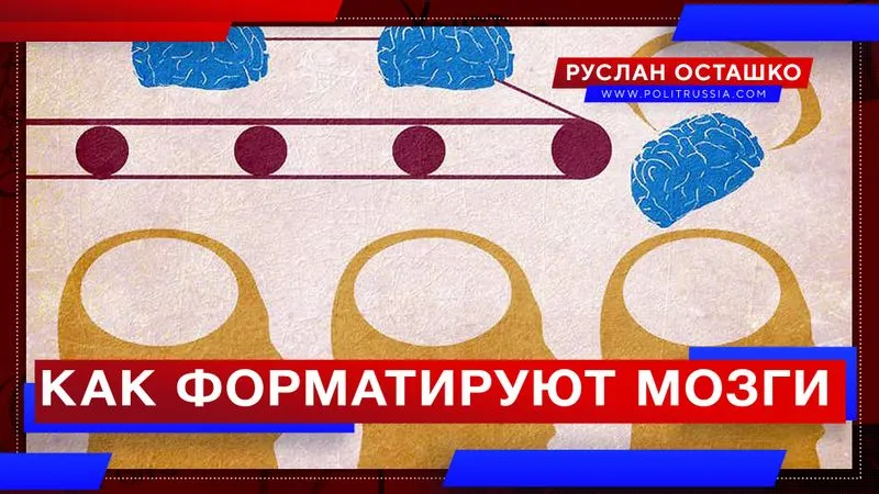 Как форматируют мозги