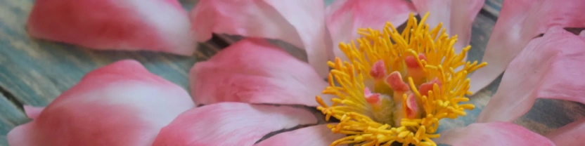 Цветы из холодного фарфора. Карелина Татьяна