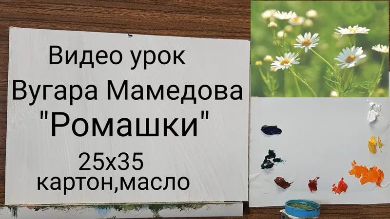 Ромашки