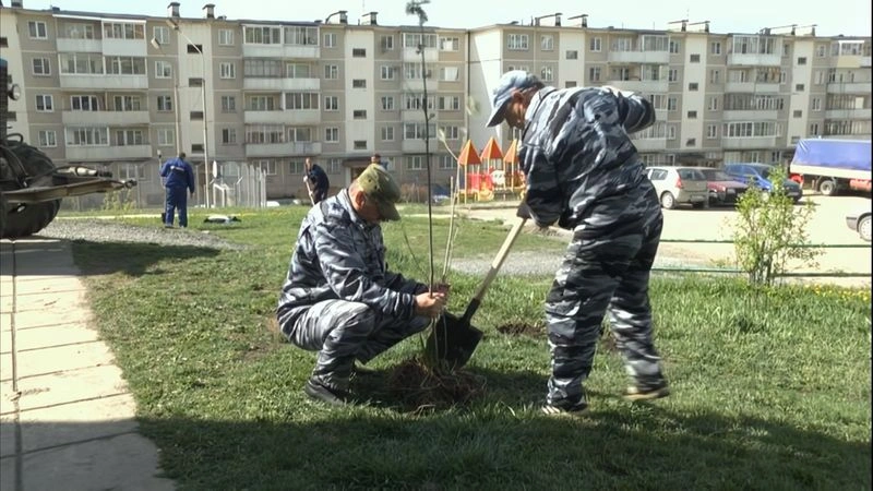 2017 05 19 Наши Новости