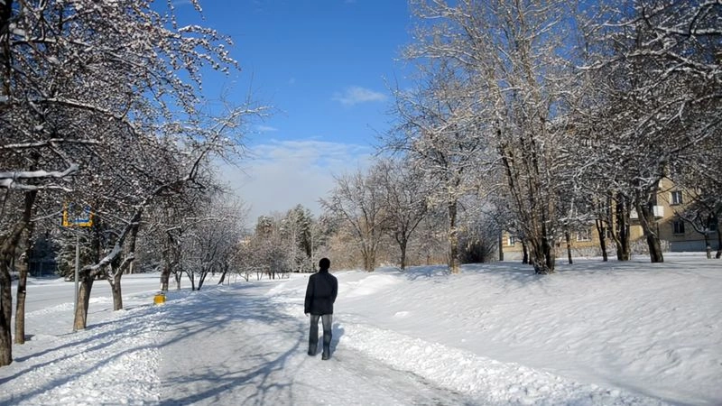 2017 12 14 Наши Новости