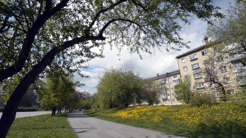 2020 07 14 наши новости