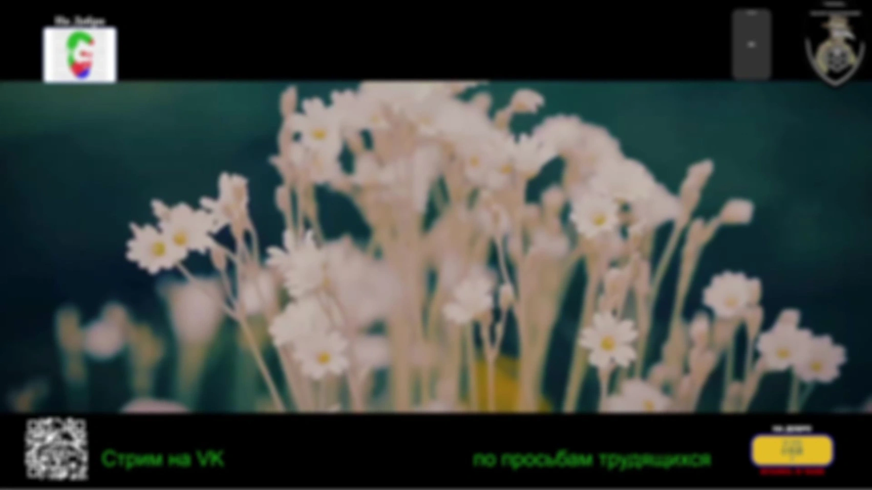 Стрим 20.05.25 (общение с пленным)