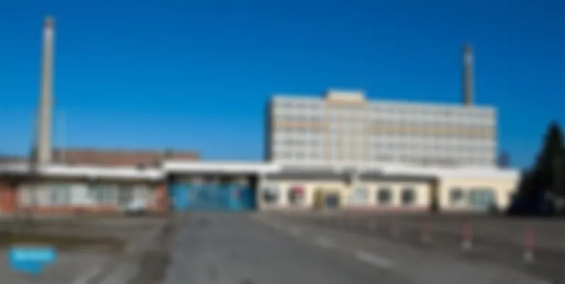 Заторможенный тевтонский гений