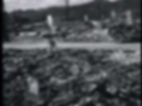preview_image