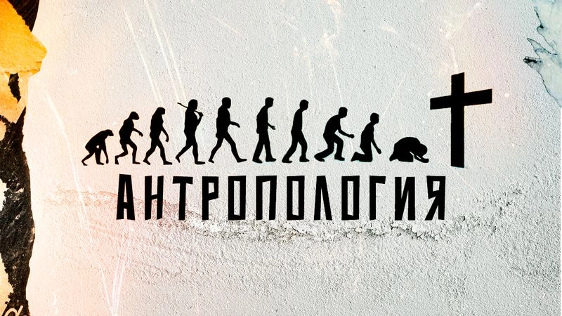 Антропология / Вечер с доктором Боровских