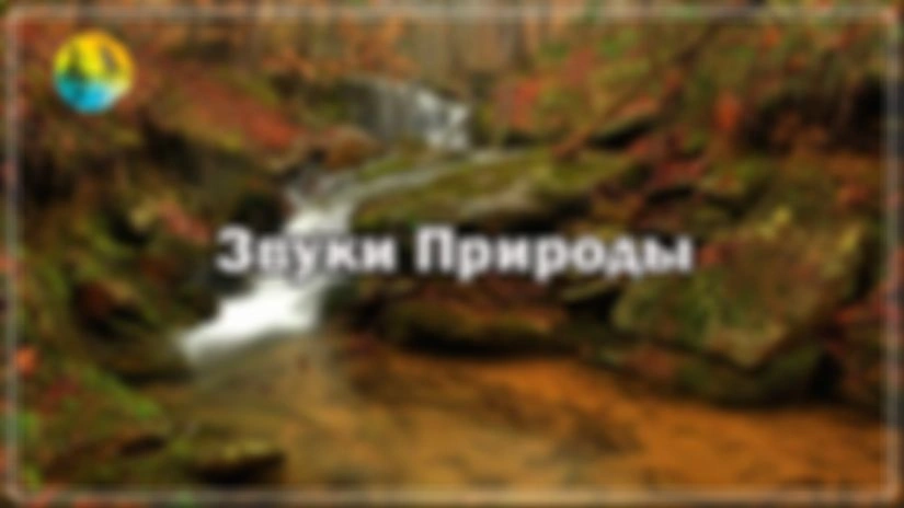 видео с рутьюбу
