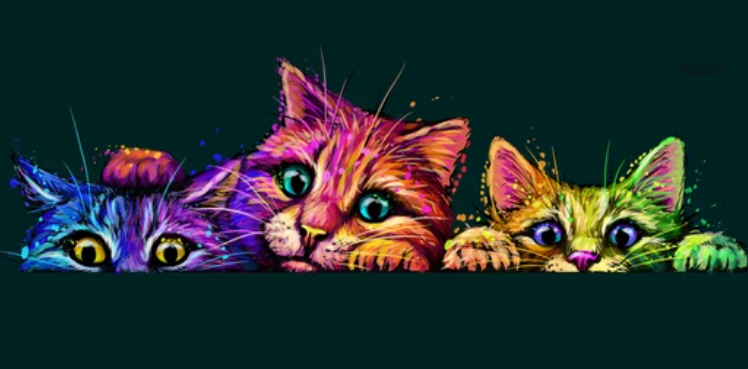 preview_image