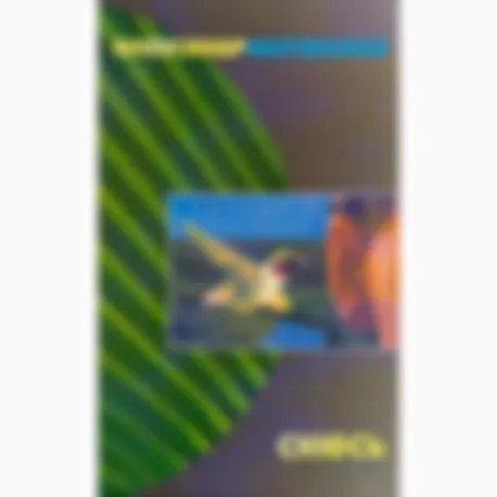 preview_image