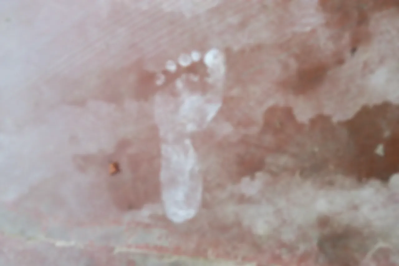 preview_image