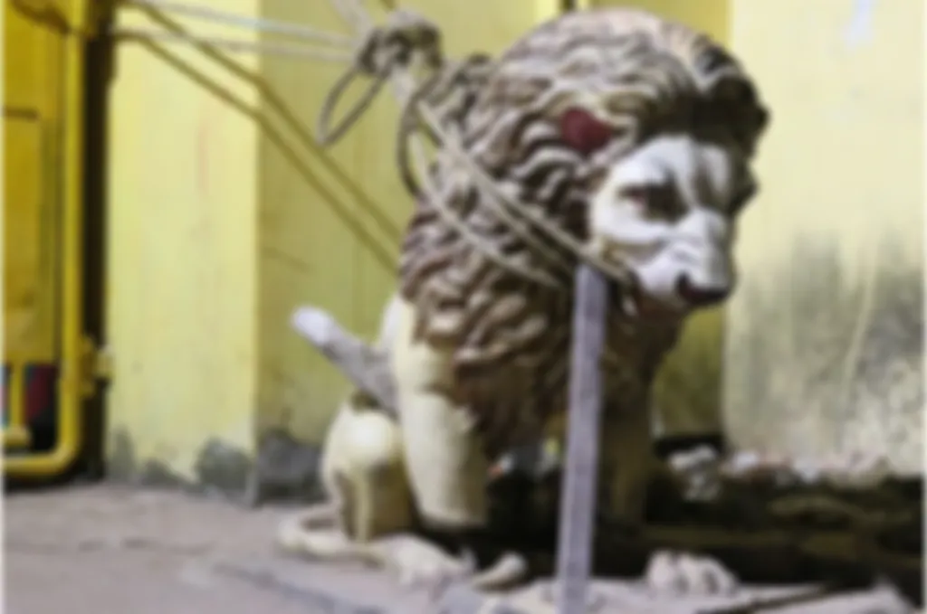 preview_image