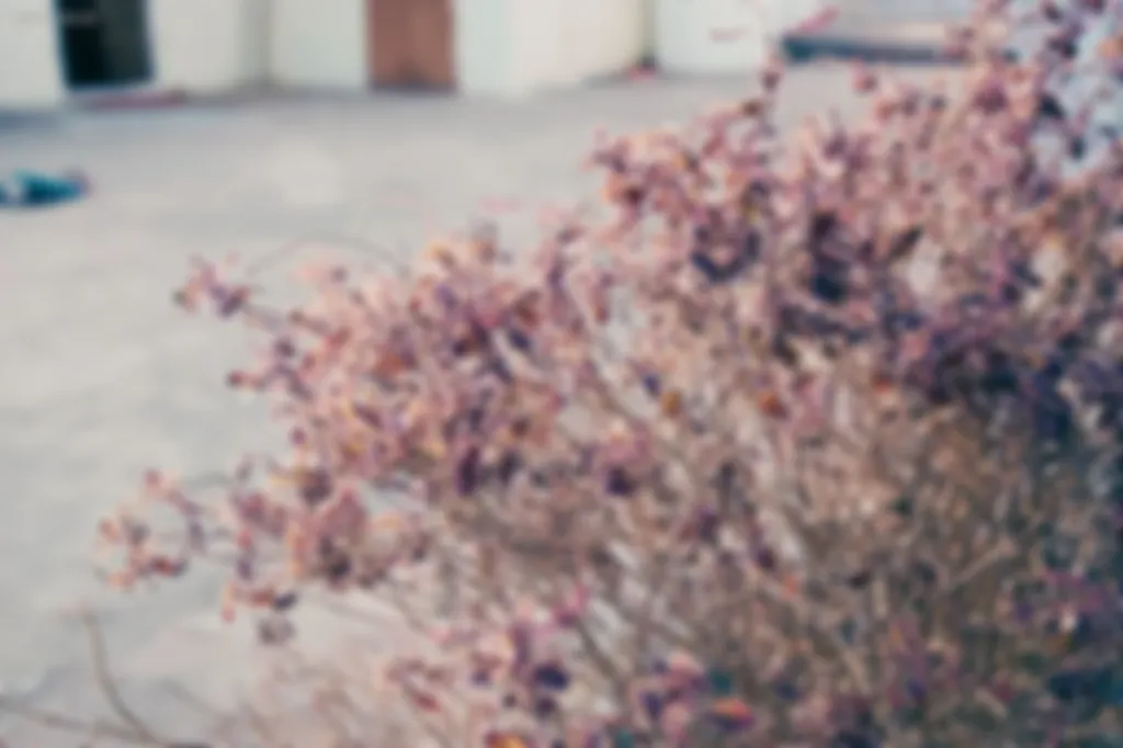 preview_image