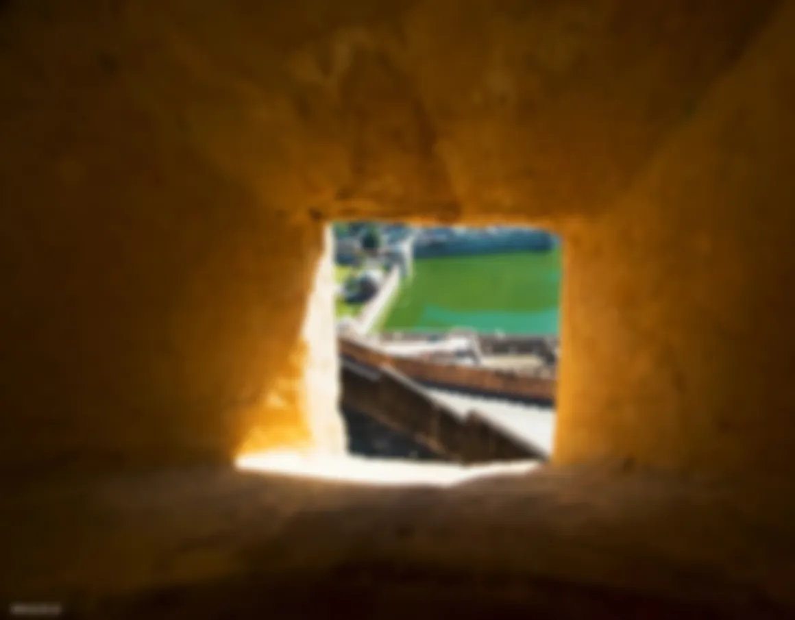 preview_image