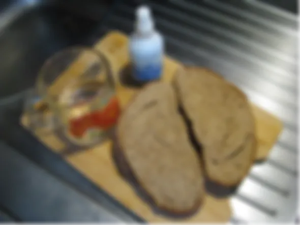preview_image