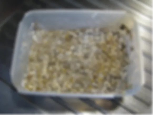preview_image