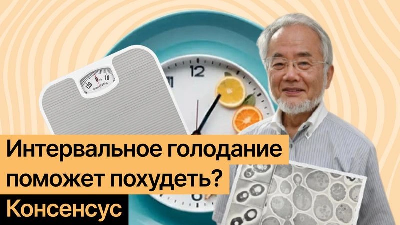 Интервальное голодание работает, только если помогает меньше есть: что наука говорит о пищевых окнах и похудении