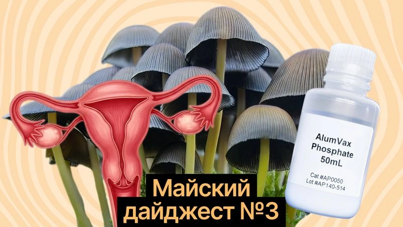ПМС, вакцины и грибочки: отделяем данные от хайпа