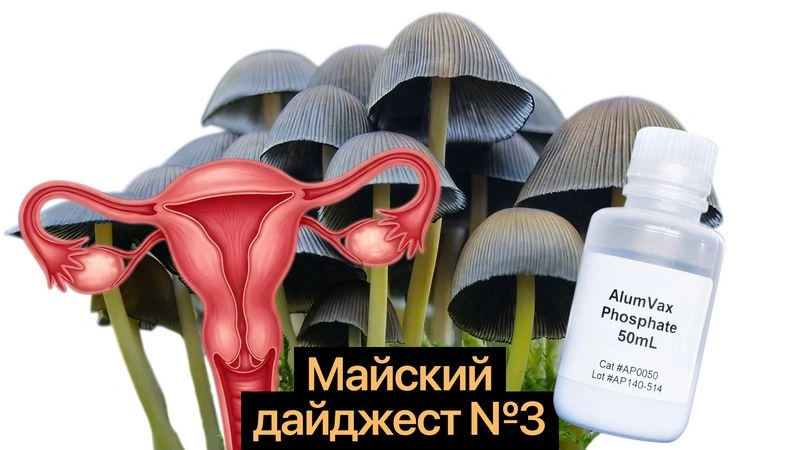 ПМС, вакцины и грибочки: отделяем данные от хайпа
