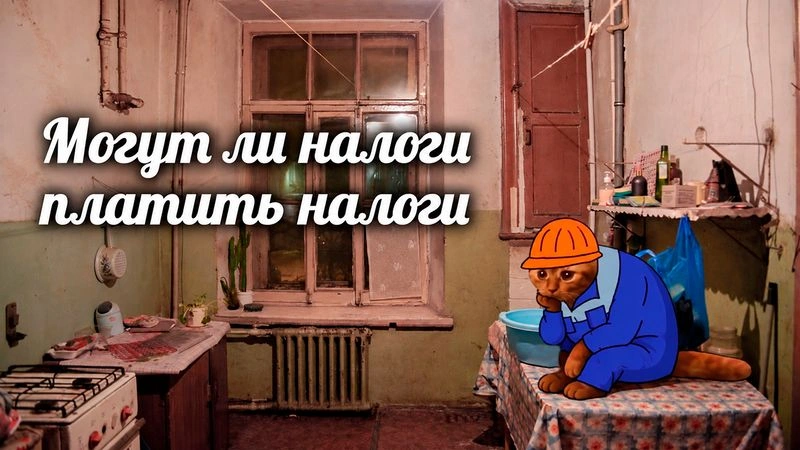 Могут ли налоги платить налоги
