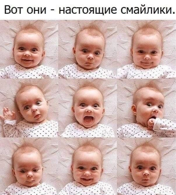 207. Тупой креакл намекает на разницу между "будьте как дети" и "онижедети"