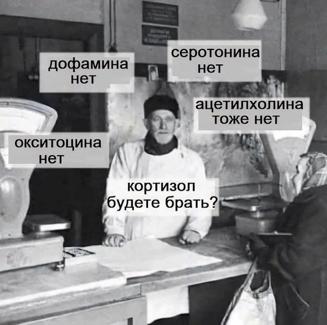 249. Управляющий скукой приобретает тайное энергетическое богатство