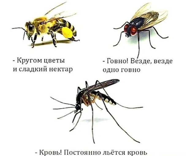 268. Взгляд на мир определяет встраивание человека в жизненные сюжеты