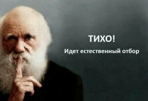 Фанаты гиперопеки помогают естественному отбору