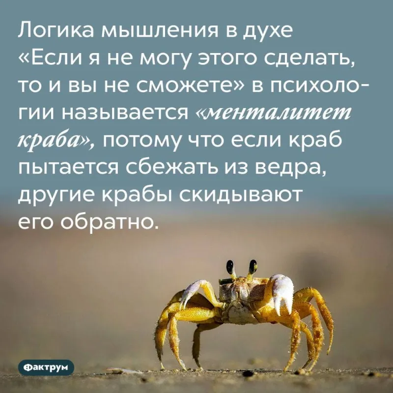 104. Менталитет "сокровища" гарантирует поражение в войне