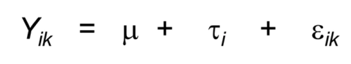 preview_image