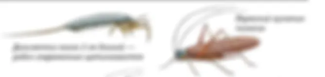 preview_image