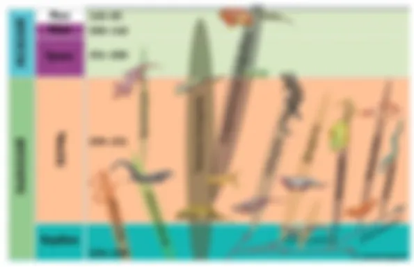 preview_image