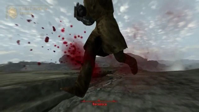 Улучшает поведение Ragdolls (тряпичной куклы) для всех NPC / Существ в игре